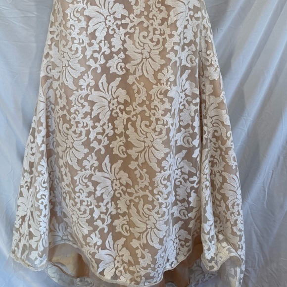 Nina Canacci Cream Blue Beaded Lace Embroidered Mermaid Event wedding Dress Sz 6 - Picture 13 of 16